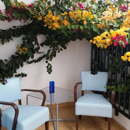 Lejlighed Garden House